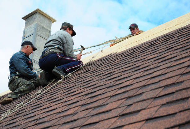 Best Roof Gutter Cleaning  in Springdale, NJ